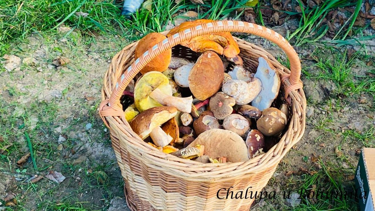 Chalupa U Bohumila Rybna nad Zdobnici ภายนอก รูปภาพ