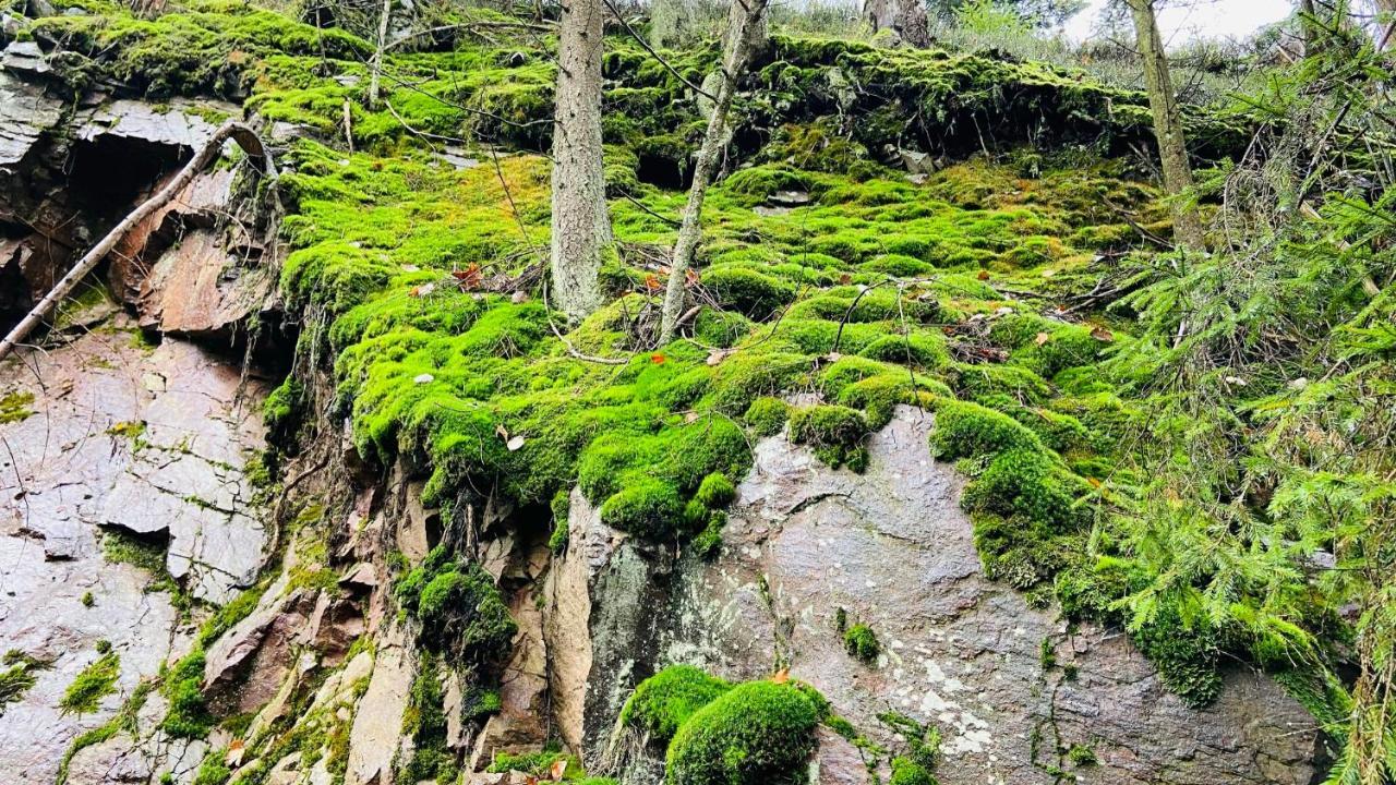 Chalupa U Bohumila Rybna nad Zdobnici ภายนอก รูปภาพ