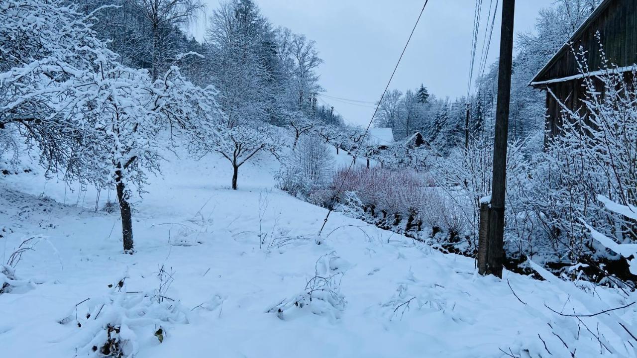 Chalupa U Bohumila Rybna nad Zdobnici ภายนอก รูปภาพ